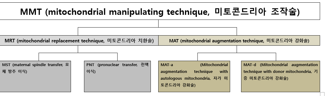 KakaoTalk_20210526_163310084.png